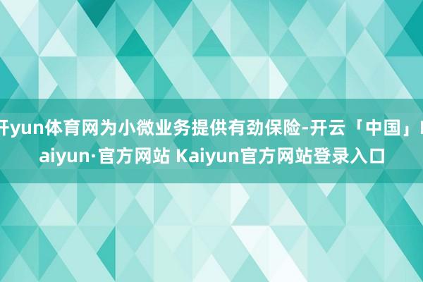 开yun体育网为小微业务提供有劲保险-开云「中国」Kaiyun·官方网站 Kaiyun官方网站登录入口